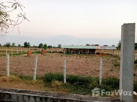  Terrain for sale in Thaïlande, Non Sa-Nga, Pathum Rat, Roi Et, Thaïlande