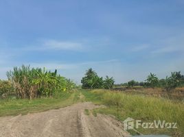  Grundstück zu verkaufen in Lat Lum Kaeo, Pathum Thani, Na Mai, Lat Lum Kaeo, Pathum Thani