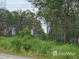 ขายที่ดิน ใน ป่าคลอก, ภูเก็ต, ป่าคลอก, ถลาง
