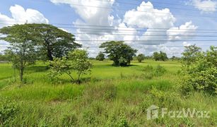 N/A Grundstück zu verkaufen in Fang Daeng, Nakhon Phanom 