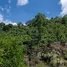 在哥斯达黎加出售的 土地, Perez Zeledon, San Jose, 哥斯达黎加