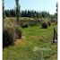  Land for sale in Tigre, Buenos Aires, Tigre