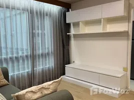 1 Bedroom Apartment for rent at Condo One Sukhumvit 52, Phra Khanong