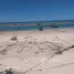  Land for sale in Koh Samui Surat Thani, Na Mueang, Koh Samui