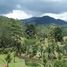 4 Bedroom House for sale in Costa Rica, Aguirre, Puntarenas, Costa Rica