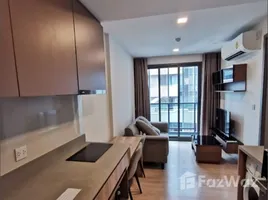 อพาร์ทเม้นท์ 1 ห้องนอน ให้เช่า ในโครงการ ทากะ เฮาส์, คลองตันเหนือ