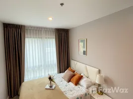 คอนโด 1 ห้องนอน ให้เช่า ในโครงการ เดอะ สกาย สุขุมวิท, บางนา, บางนา, กรุงเทพมหานคร