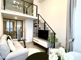 Condominium 1 chambre à louer à Origin Plug & Play Ramkhamhaeng Triple Station, Hua Mak, Bang Kapi, Bangkok
