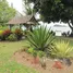 4 Schlafzimmer Haus zu verkaufen in Thalang, Phuket, Pa Khlok, Thalang, Phuket