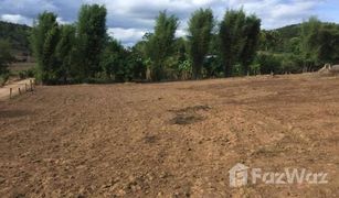 N/A Land for sale in Wiang Nuea, Mae Hong Son 