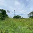  Земельный участок for sale in Khlong Yong, Nakhon Pathom, Khlong Yong, Phutthamonthon, Nakhon Pathom