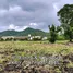  Land for sale in Nong Nam Daeng, Nakhon Ratchasima, Nong Nam Daeng, Pak Chong