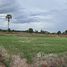  Land for sale in Dong Daeng, Roi Et, Dong Daeng, Chaturaphak Phiman