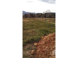  Land for sale in Rio Grande do Sul, Nova Hartz, Nova Hartz, Rio Grande do Sul