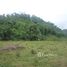  Terrain for sale in Aguirre, Puntarenas, Aguirre