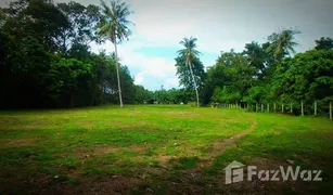 N/A Grundstück zu verkaufen in Khao Mai Kaeo, Trang 