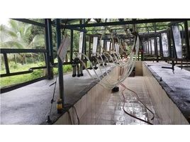 N/A Terreno (Parcela) en venta en , Alajuela COCOA AND DAIRY FARM IN PRODUCTION AND GROWING: Cocoa farm in San Carlos, San Carlos, Alajuela