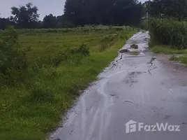  Grundstück zu verkaufen in Lubao, Central Luzon, Lubao, Pampanga, Central Luzon, Philippinen