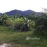  Grundstück zu verkaufen in Pa Khlok, Phuket, Pa Khlok, Thalang