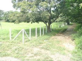  Grundstück zu verkaufen in Santa Cruz, Guanacaste, Santa Cruz