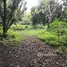  Terreno (Parcela) en venta en Alitagtag, Calabarzon, Alitagtag
