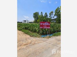 ขายที่ดิน ใน วังขนาย, กาญจนบุรี, วังขนาย, ท่าม่วง, กาญจนบุรี