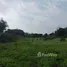 ขายที่ดิน ใน สันทราย, เชียงใหม่, สันทราย, พร้าว, เชียงใหม่