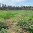  Terrain for sale in Amazonas, Rio Preto Da Eva, Amazonas