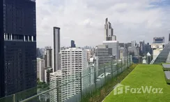 Photo 3 of the Communal Garden Area at Celes Asoke