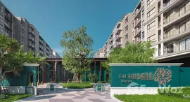 Available Units at La Habana 