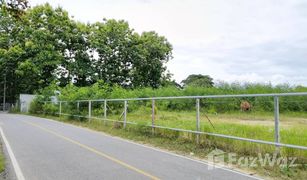 N/A Land for sale in Ban Waen, Chiang Mai 