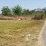  Земельный участок for sale in Buak Khang, Чианг Маи, Buak Khang, Сан Кампаенг, Чианг Маи