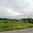  Terrain for sale in Mueang Phitsanulok, Phitsanulok, Bueng Phra, Mueang Phitsanulok