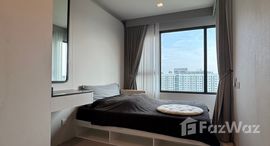 ยูนิตมือสองและให้เช่า