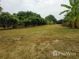 在清莱出售的 土地, Rop Wiang, Mueang Chiang Rai, 清莱