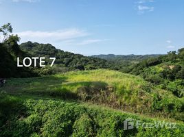  Terreno (Parcela) en venta en Guanacaste, Carrillo, Guanacaste