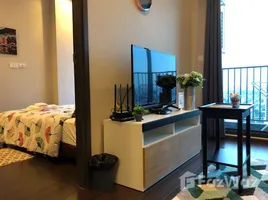 คอนโด 1 ห้องนอน ให้เช่า ในโครงการ ซี เอกมัย, คลองตันเหนือ