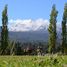  Land for sale in Chile, Entre Lagos, Osorno, Los Lagos, Chile