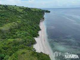  Tanah for sale in Indonesia, Pandawai, Sumba Timur, East Nusa Tenggara, Indonesia