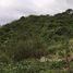 在Galapagos Park, Santa Elena出售的 土地, Santa Elena