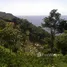  Land for sale in Phuket Town Phuket, Karon, Phuket Town, Phuket