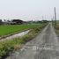 Land for sale in Nong Faek, Saraphi, Nong Faek