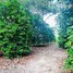 Land for sale in Thung Khwai Kin, Rayong, Thung Khwai Kin, Klaeng