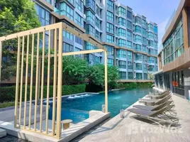 คอนโด 1 ห้องนอน ให้เช่า ในโครงการ ดิ เอ็กเซล ไฮด์ อะเวย์ สุขุมวิท 71, พระโขนงเหนือ