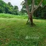  Land for sale in Mae Hia, Chiang Mai, Mae Hia, Mueang Chiang Mai