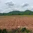 ขายที่ดิน ใน เขาดินพัฒนา, สระบุรี, เขาดินพัฒนา, เฉลิมพระเกียรติ, สระบุรี, ไทย