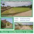 Land for sale in Khlong Khachen, Phichit, Khlong Khachen, Mueang Phichit, Phichit, Thailand