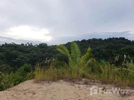  Land for sale at Quepos, Aguirre, Puntarenas