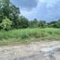  Land for sale in Nakhon Si Thammarat, Pak Nakhon, Mueang Nakhon Si Thammarat, Nakhon Si Thammarat