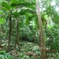  Terrain for sale in Esmeraldas, Quingue Olmedo Perdomo Franco, Muisne, Esmeraldas